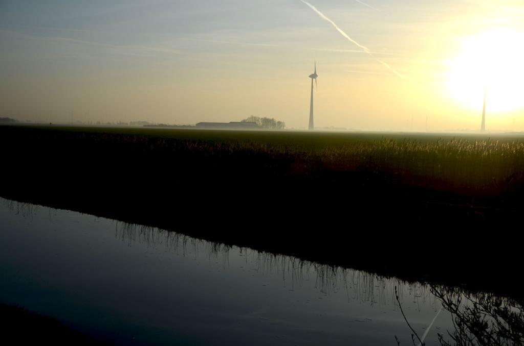 Am Alten Hafen Neuharlingersiel Εξωτερικό φωτογραφία